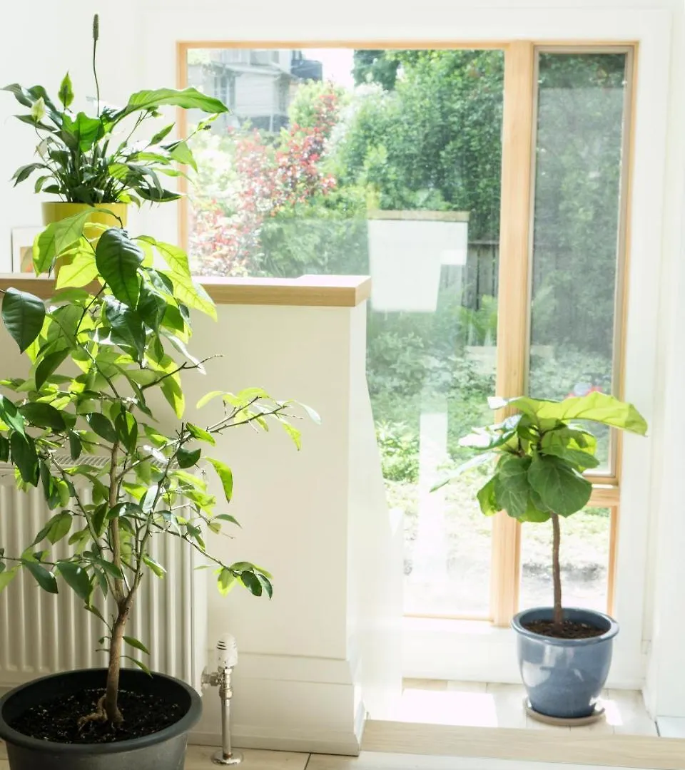 Modern Apartment Near Downtown 토론토